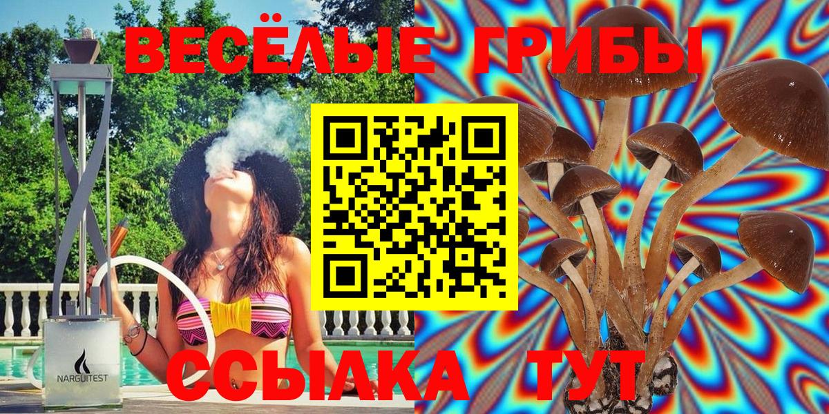 Галлюциногенные грибы MAGIC MUSHROOMS Добрянка